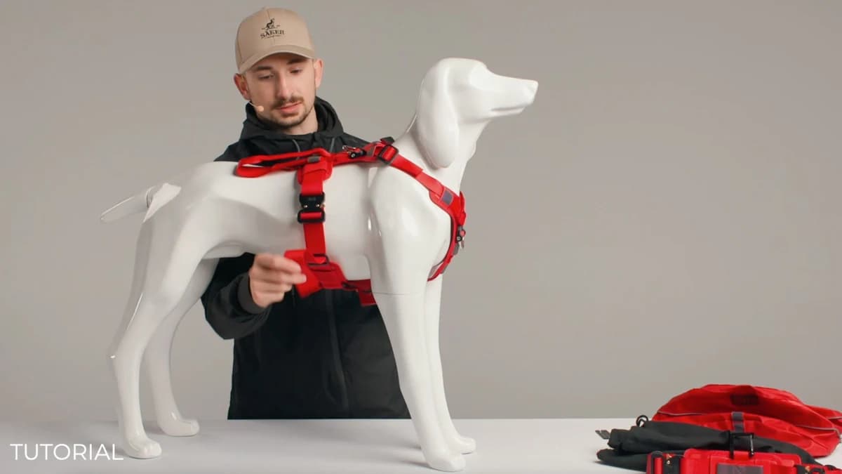 Ascension Harness